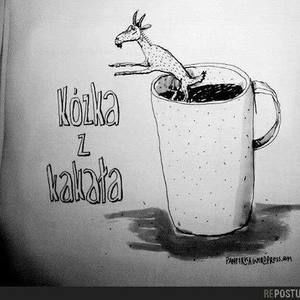 Meet your Posher, Katarzyna